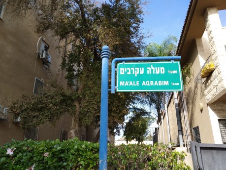 maale akrabim